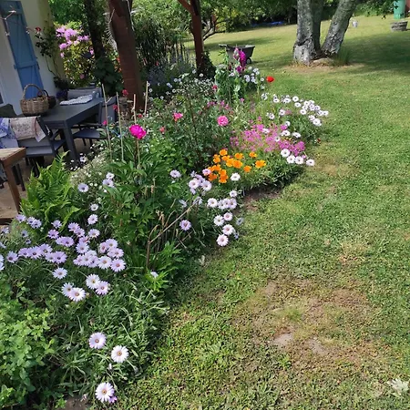 Grand Duplex Avec Jardin Apartment